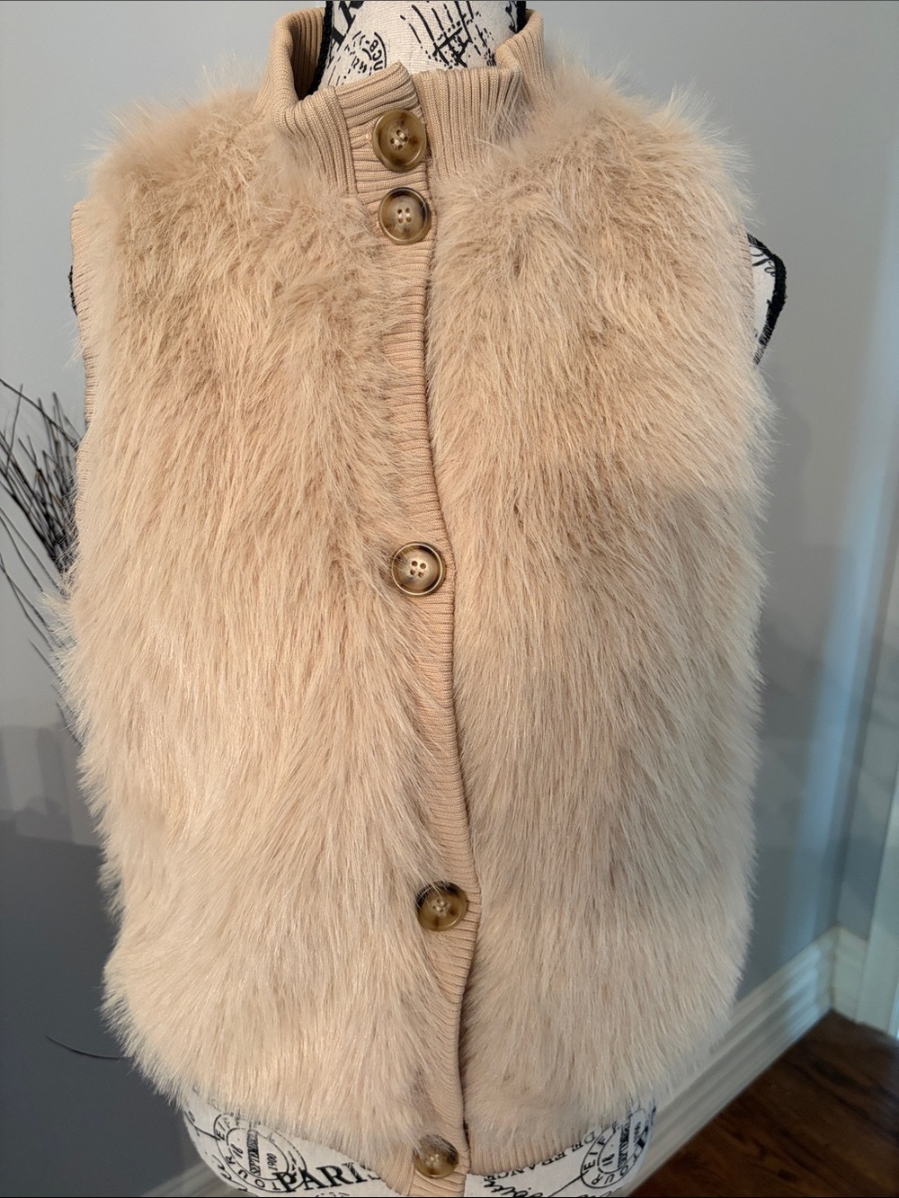 Cozy Faux Fur Button Vest - Beige